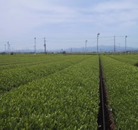 まるきゅう中島園