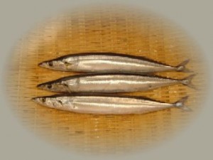 sanma04